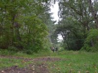 2017-08-20 10-49-03