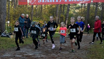 Crossloop 04, 12 nov. 2023