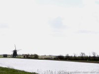 De 60 van Texel '17 (765 van 768)